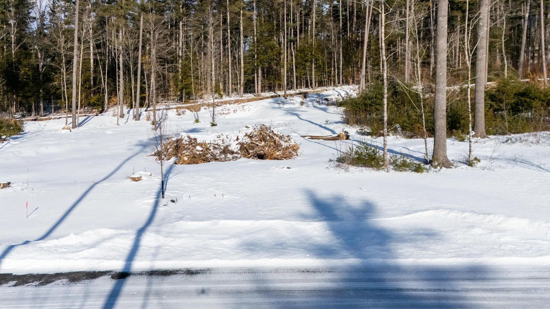 5 Lucy Brook Road Conway NH 03860