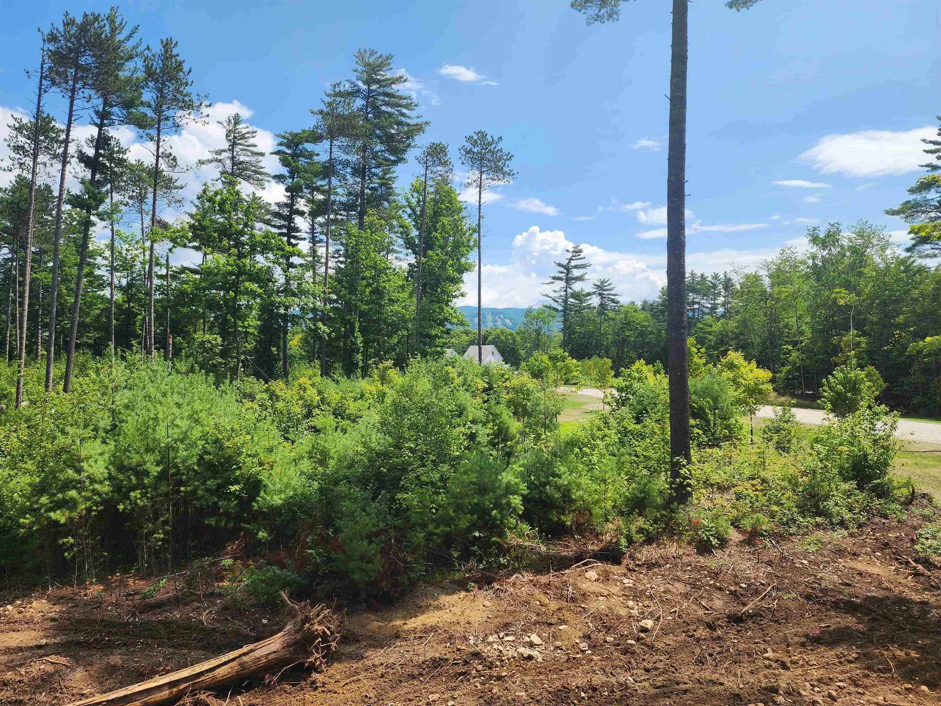 5 Lucy Brook Road Conway NH 03860