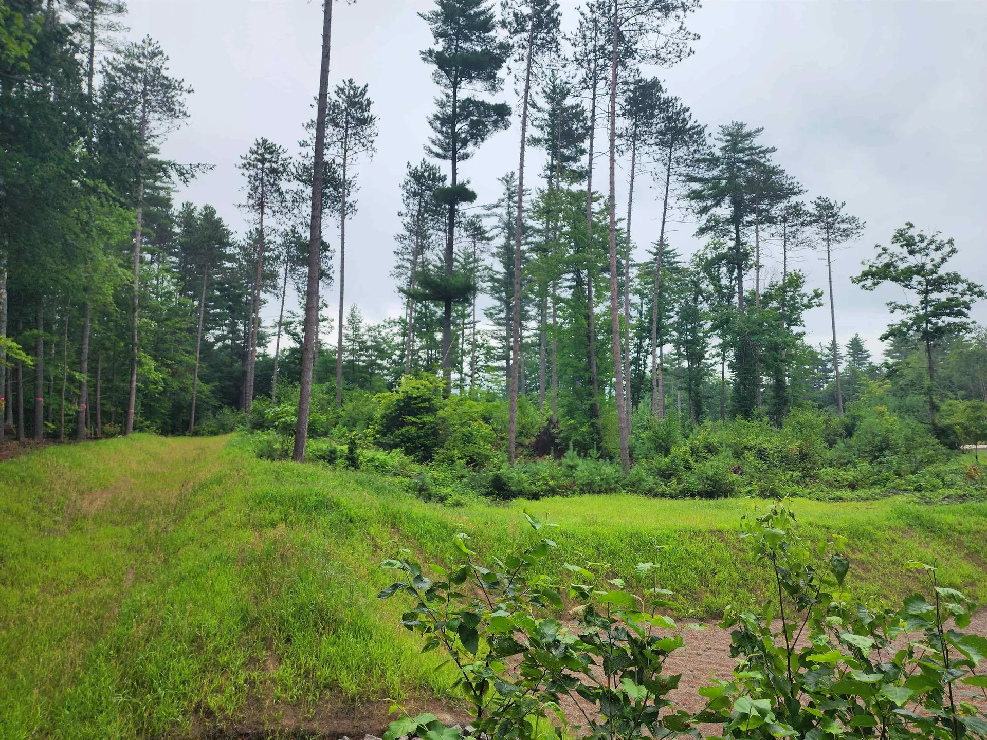 5 Lucy Brook Road Conway NH 03860