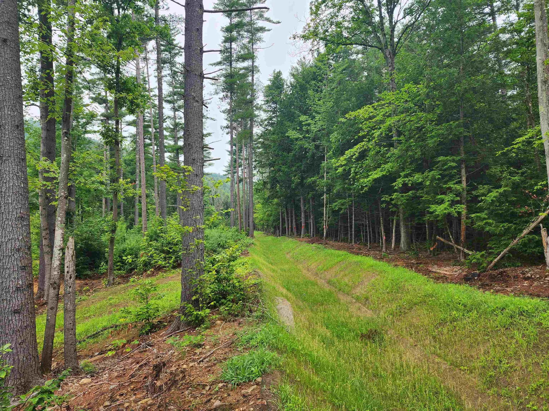 5 Lucy Brook Road Conway NH 03860