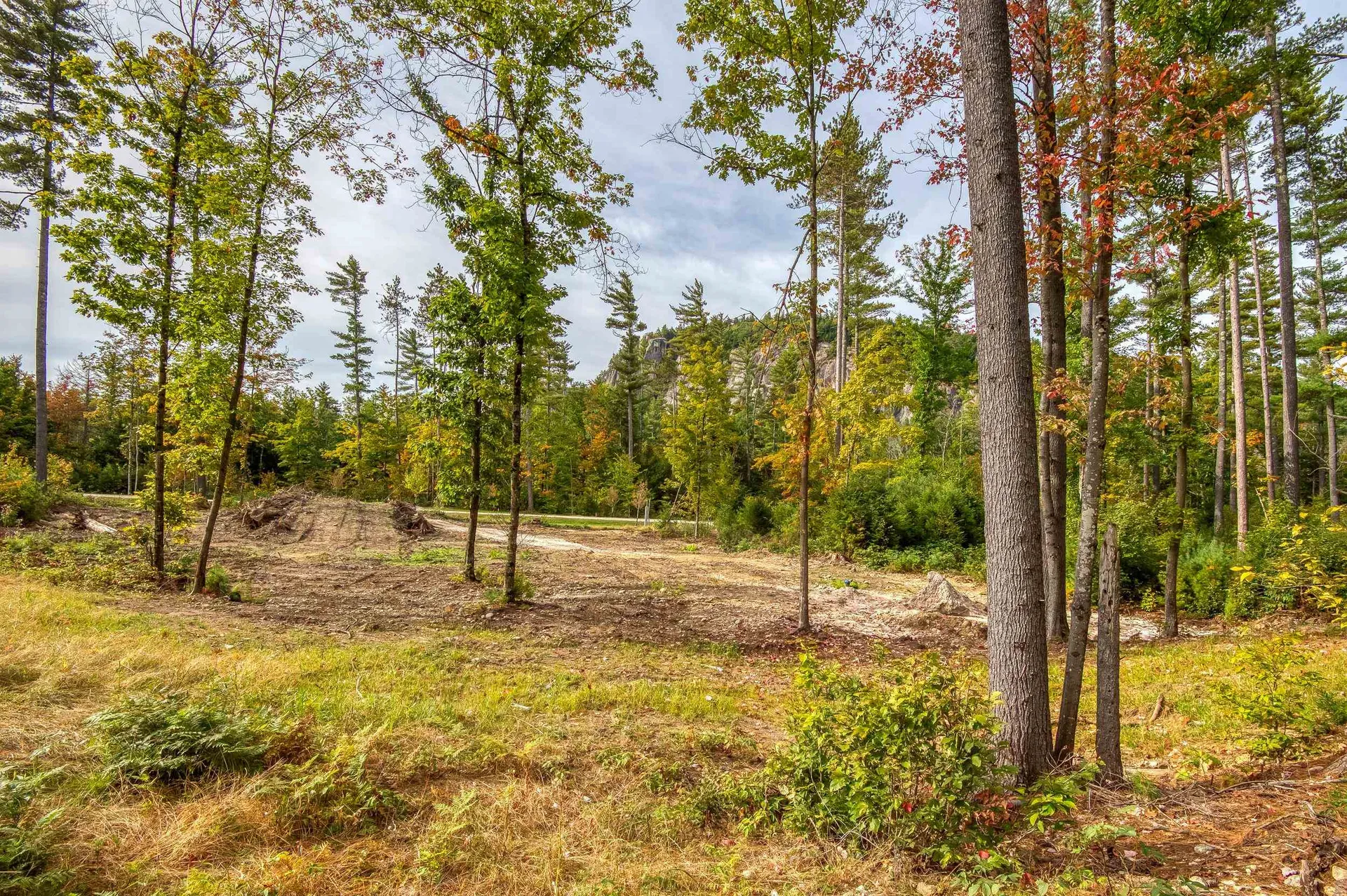 5 Lucy Brook Road Conway NH 03860