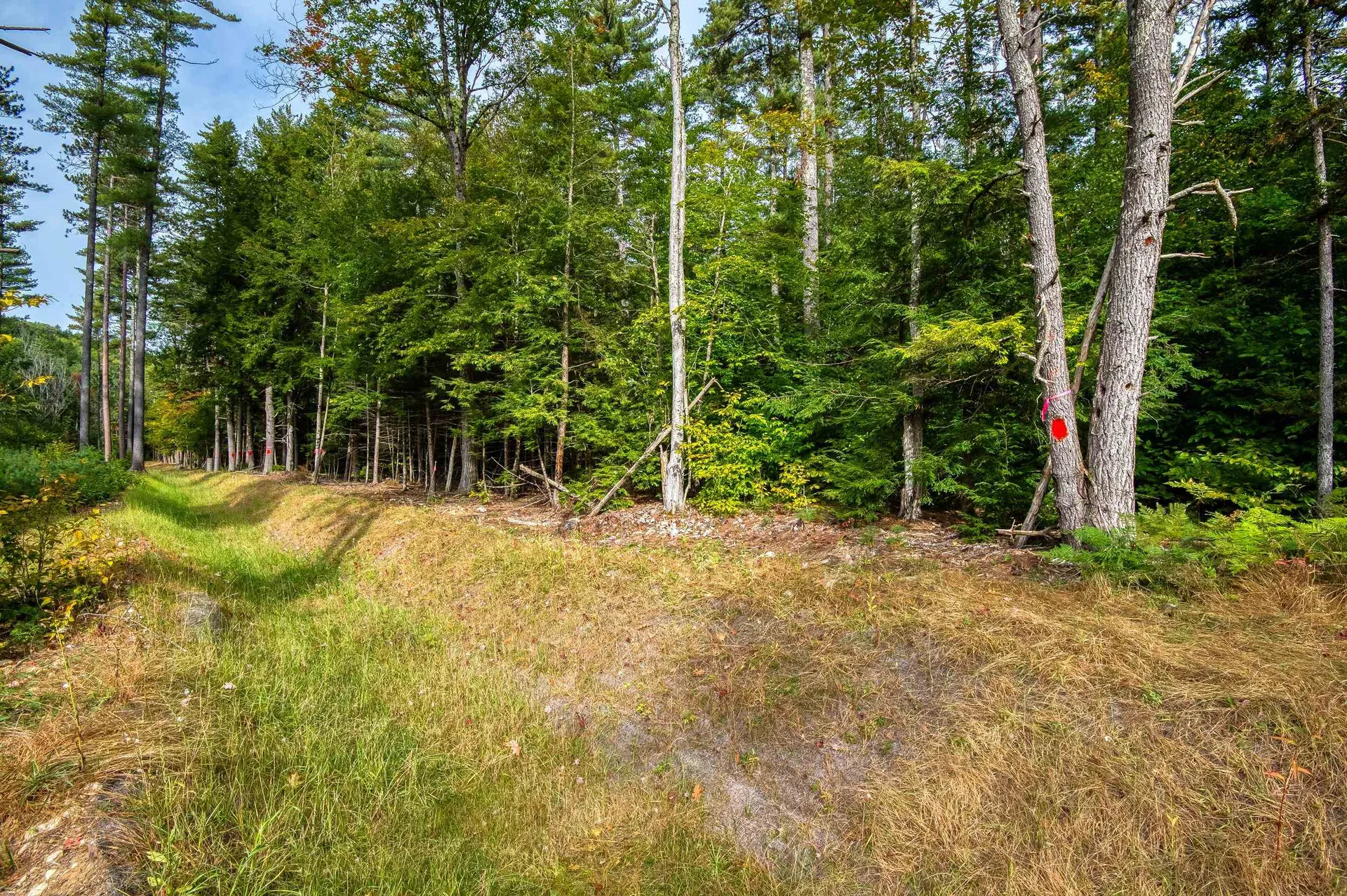 5 Lucy Brook Road Conway NH 03860