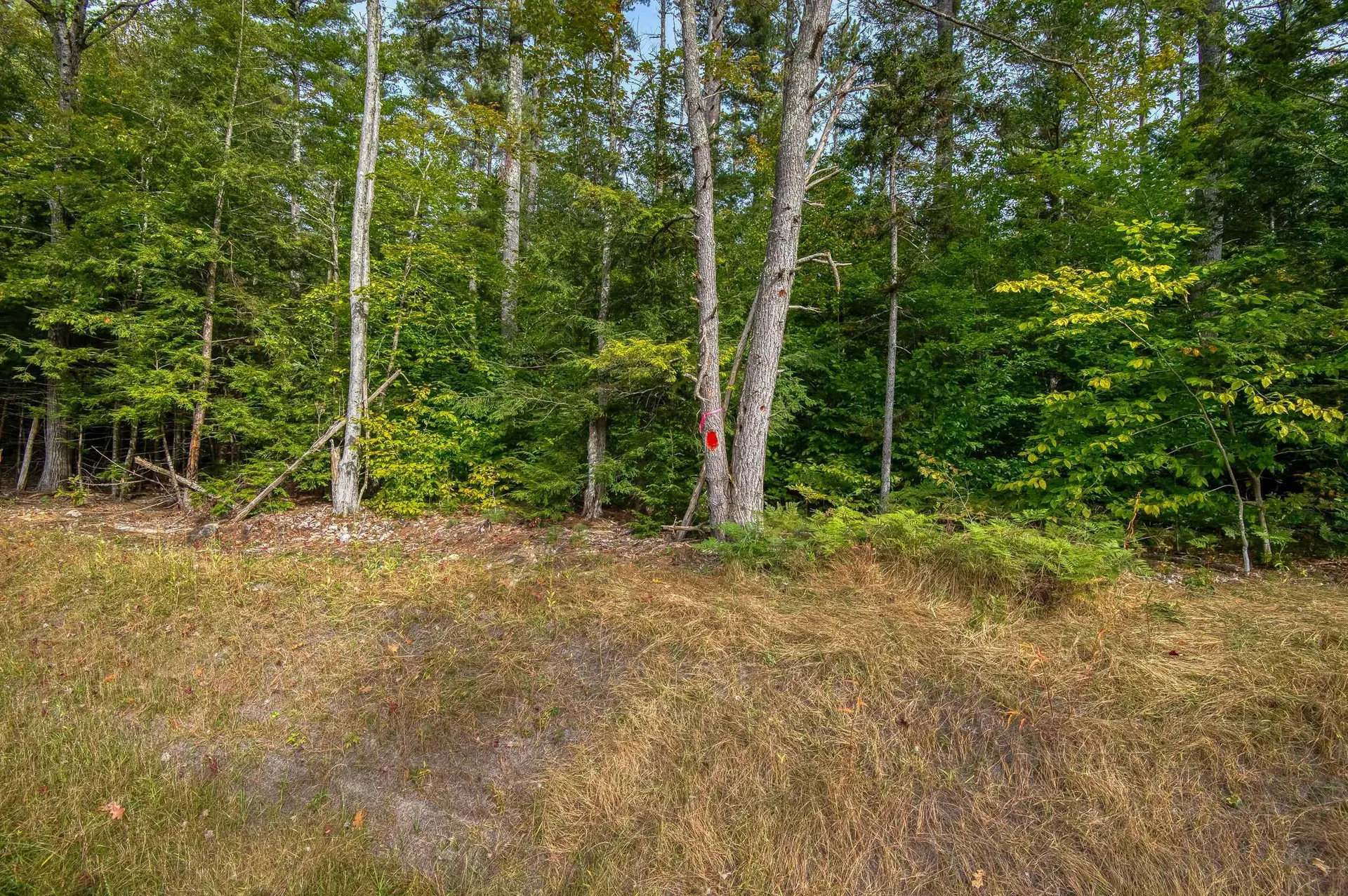 5 Lucy Brook Road Conway NH 03860