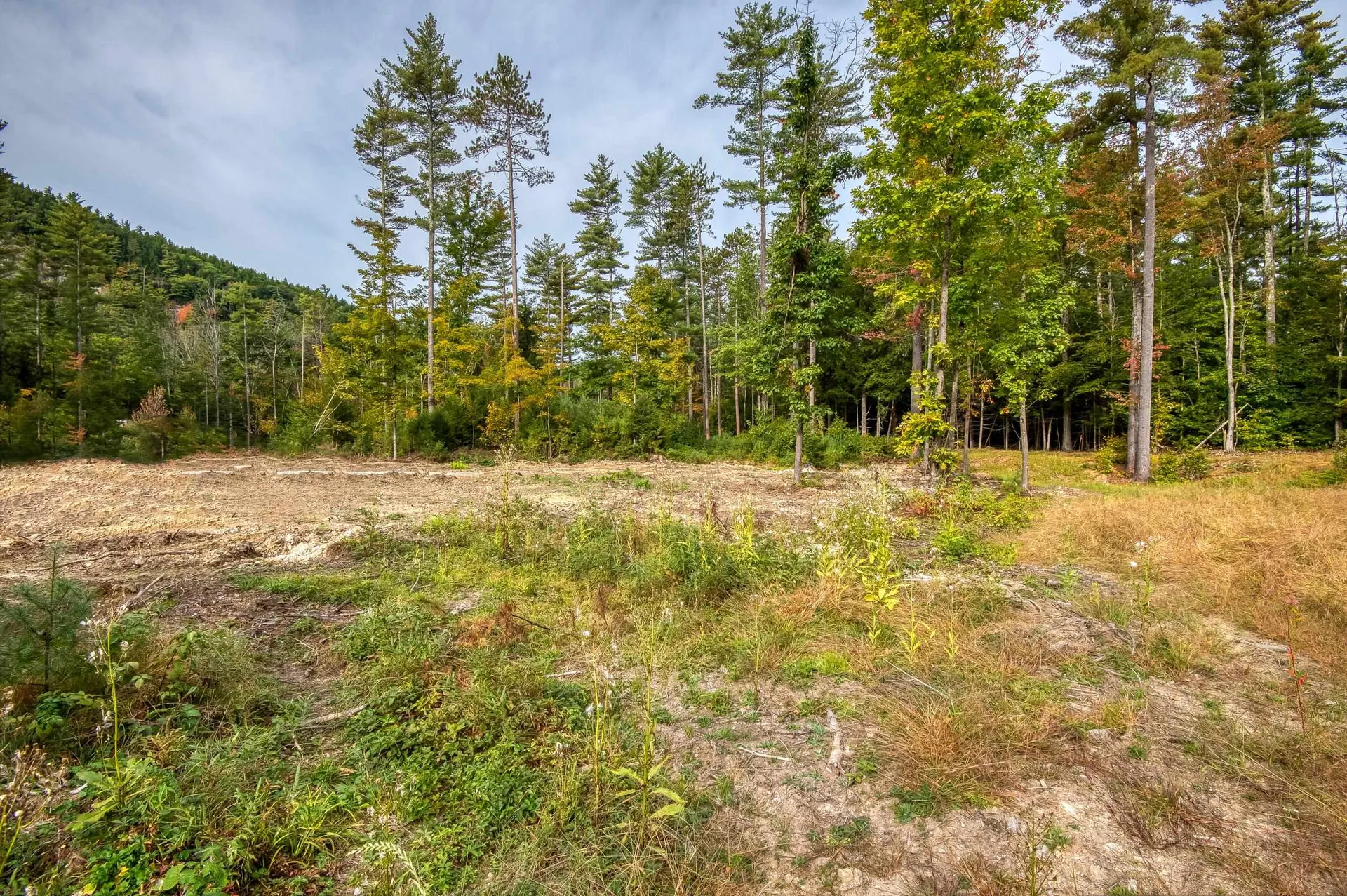 5 Lucy Brook Road Conway NH 03860