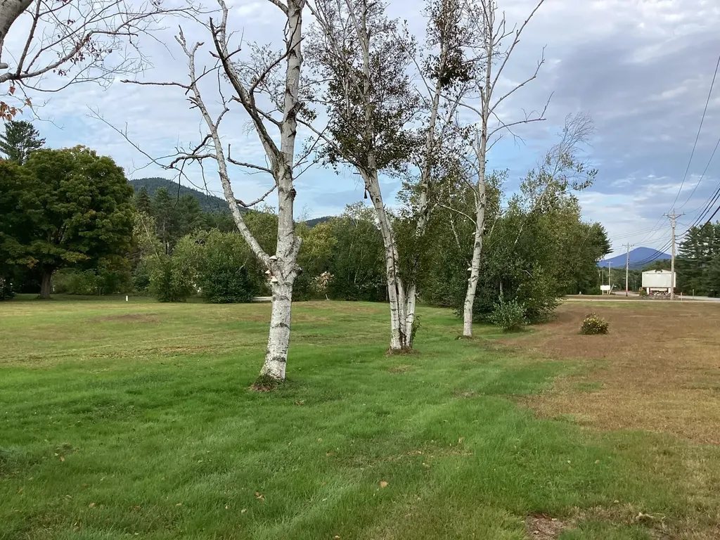 00 Us Route 302 Bartlett NH 03812