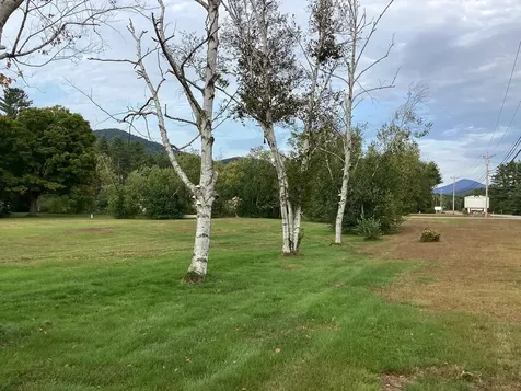 00 Us Route 302 Bartlett NH 03812