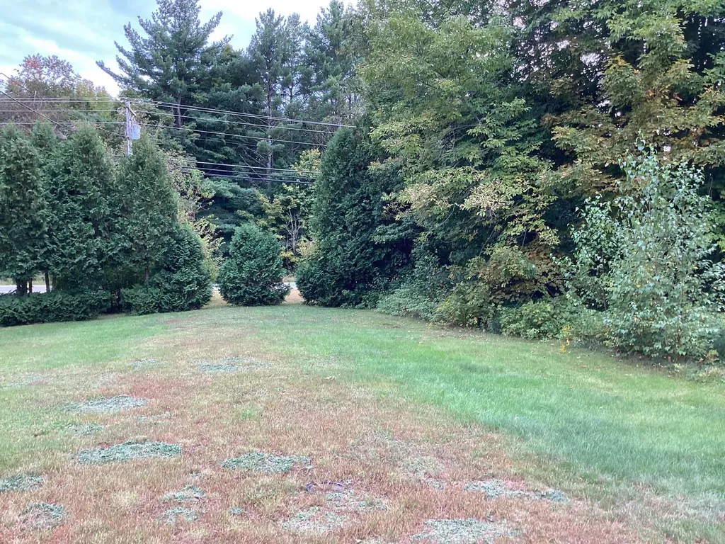 00 Us Route 302 Bartlett NH 03812