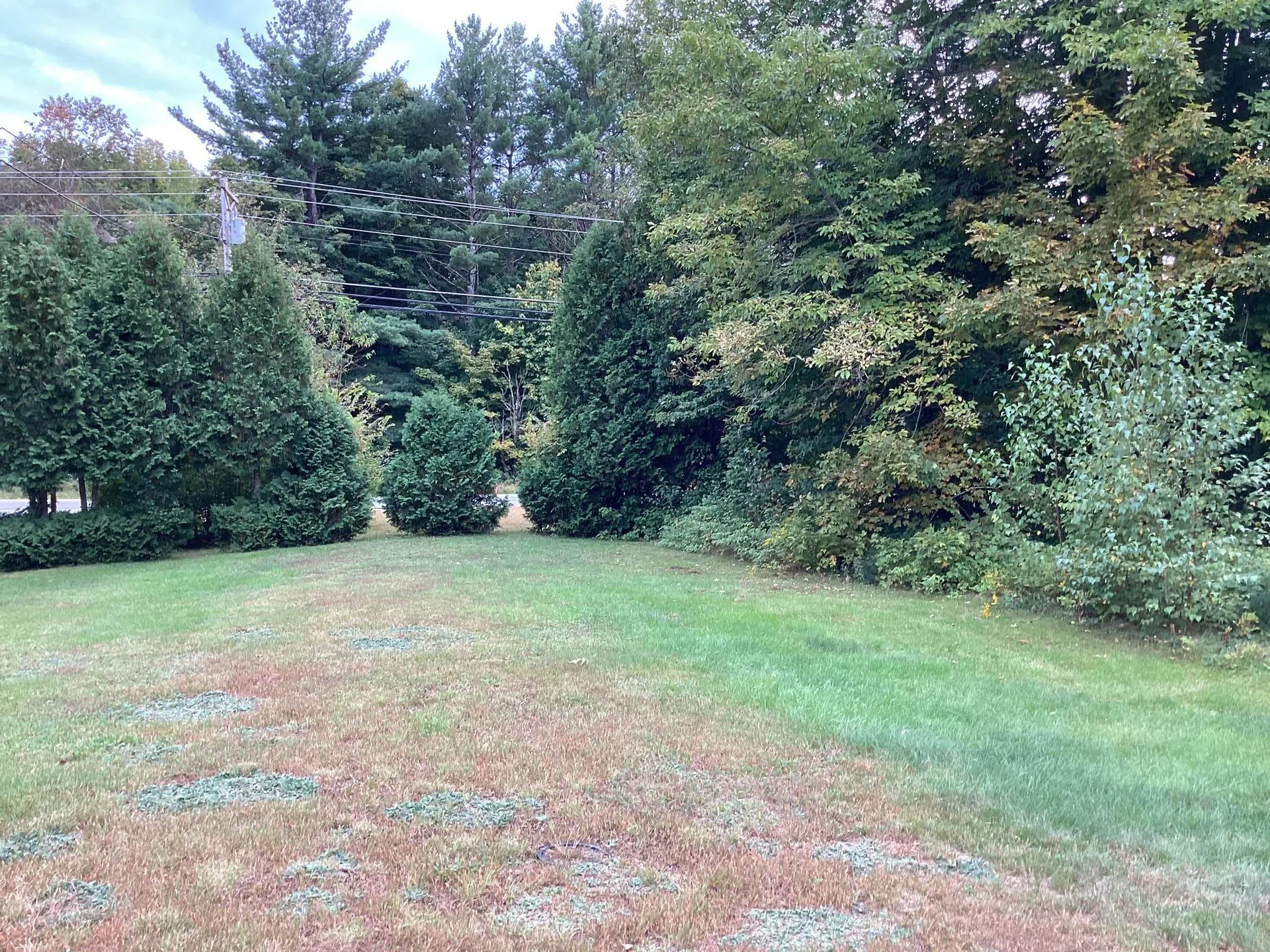 00 Us Route 302 Bartlett NH 03812