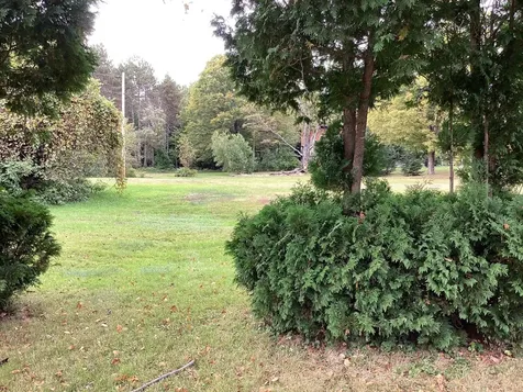 00 Us Route 302 Bartlett NH 03812