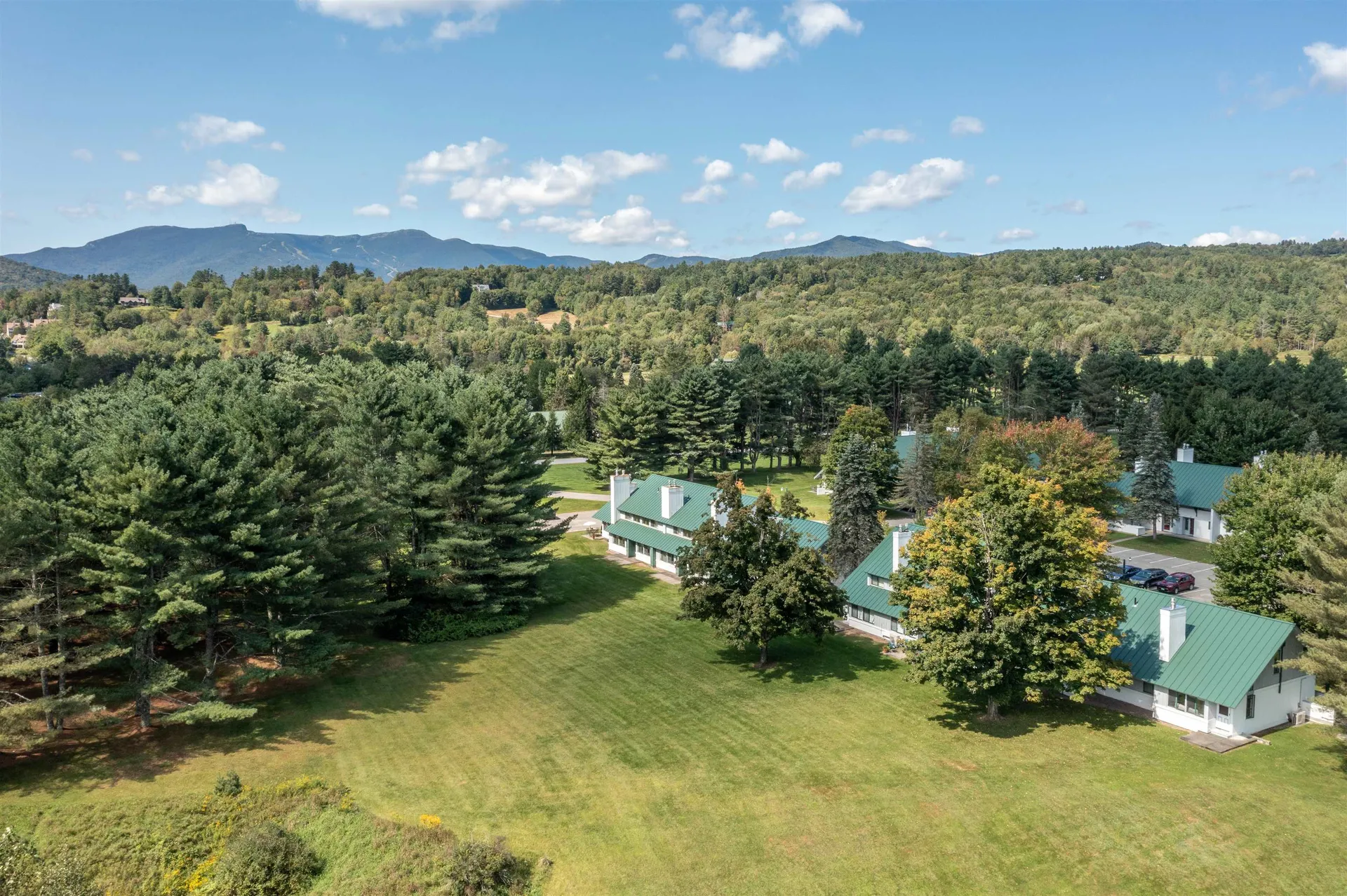 60 Village Green Drive Stowe VT 05672