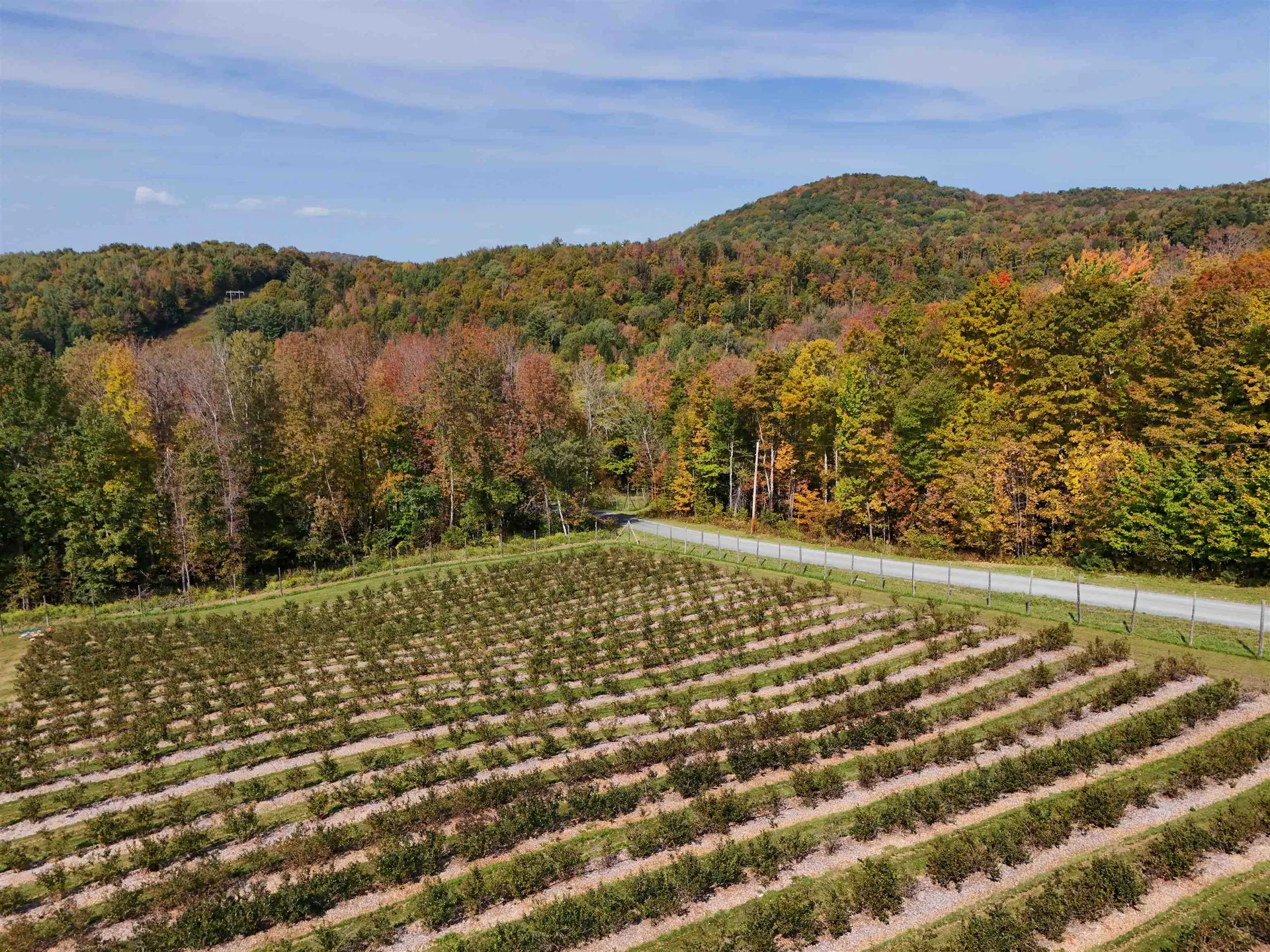 2557 Spaulding Road St. Johnsbury VT 05819