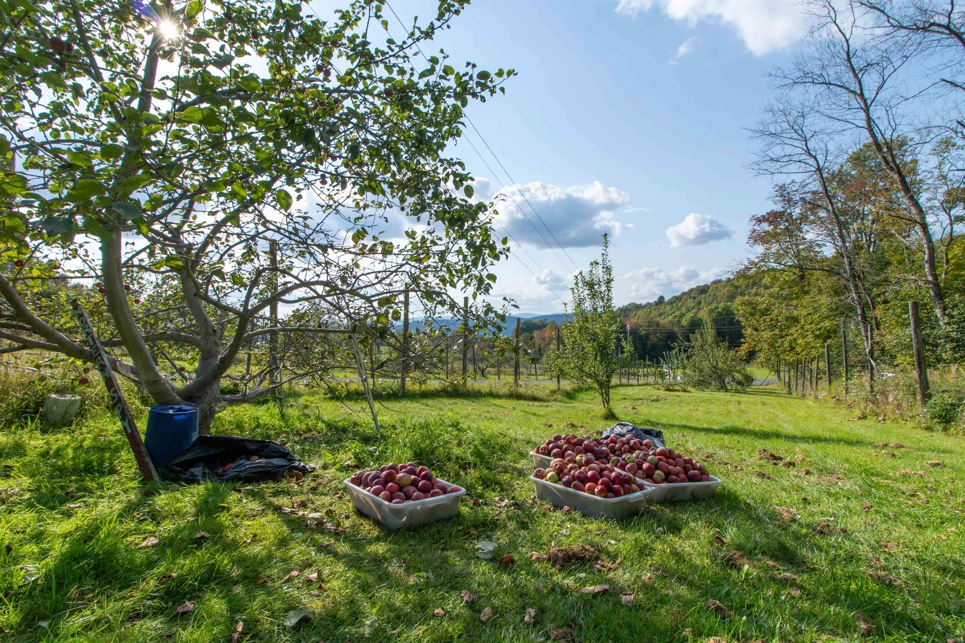 2557 Spaulding Road St. Johnsbury VT 05819