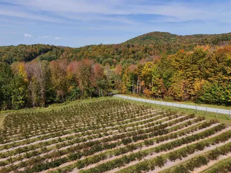 2557 Spaulding Road St. Johnsbury VT 05819