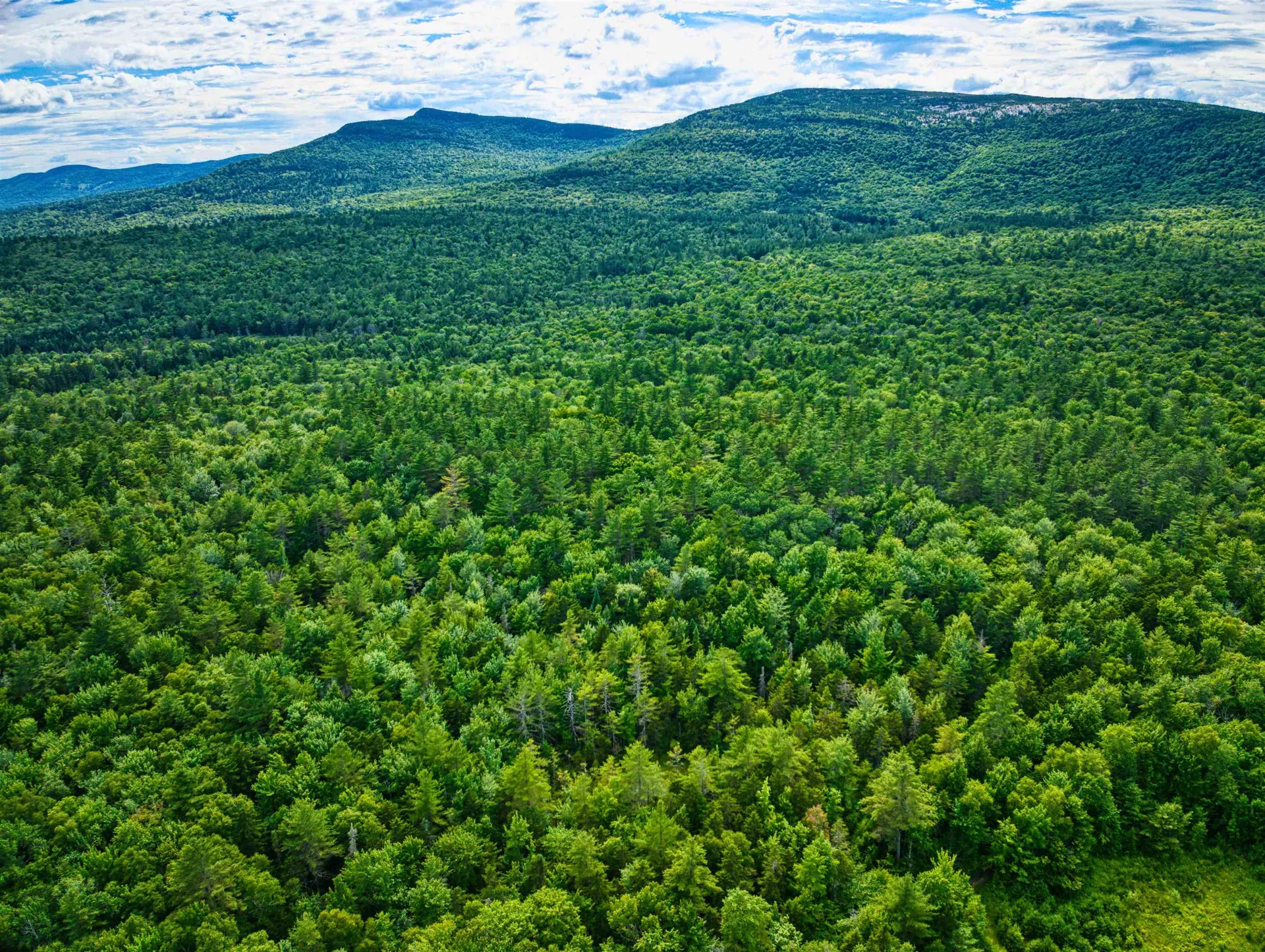 Hartshorn Road Grantham NH 03753