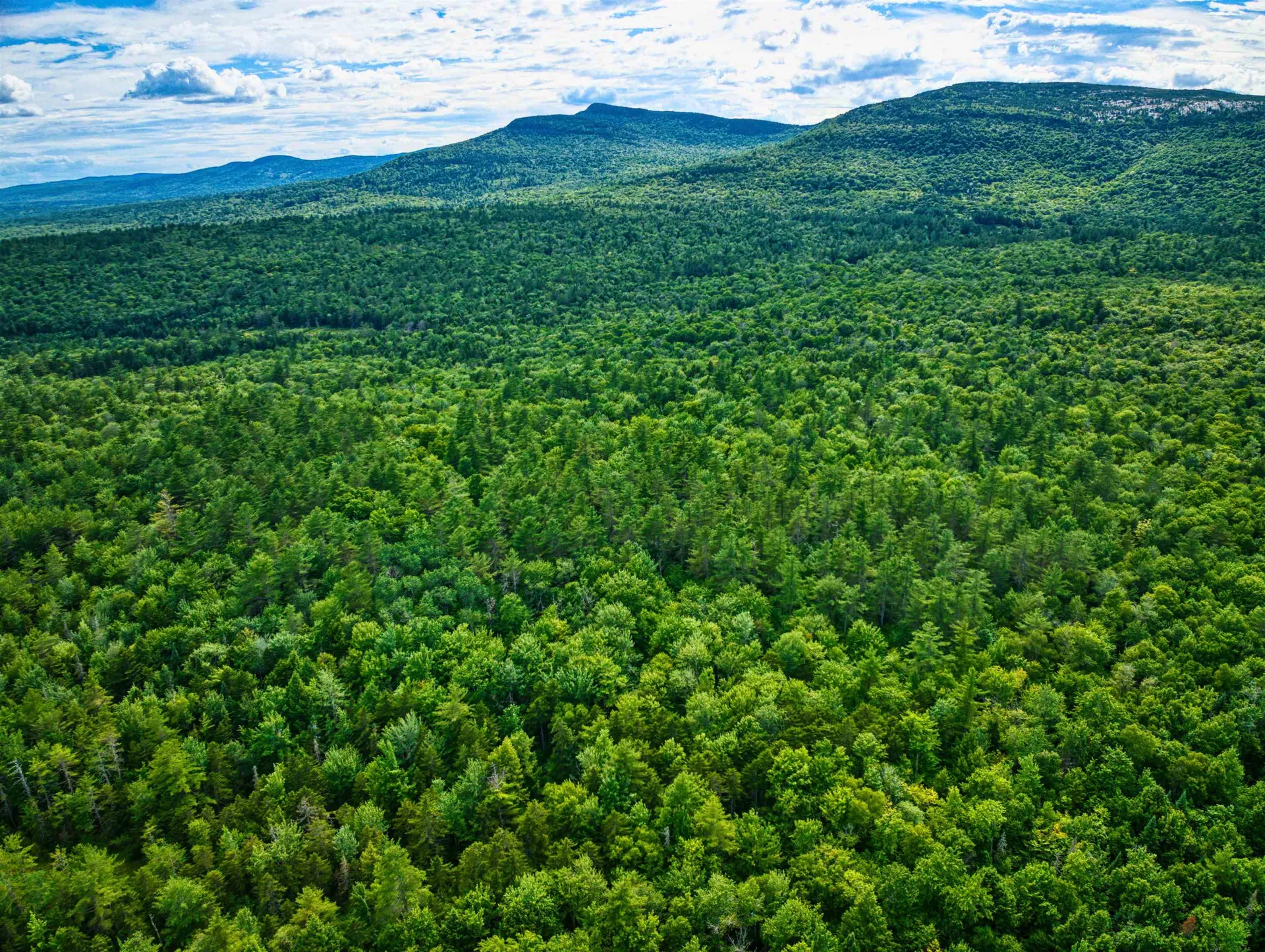 Hartshorn Road Grantham NH 03753