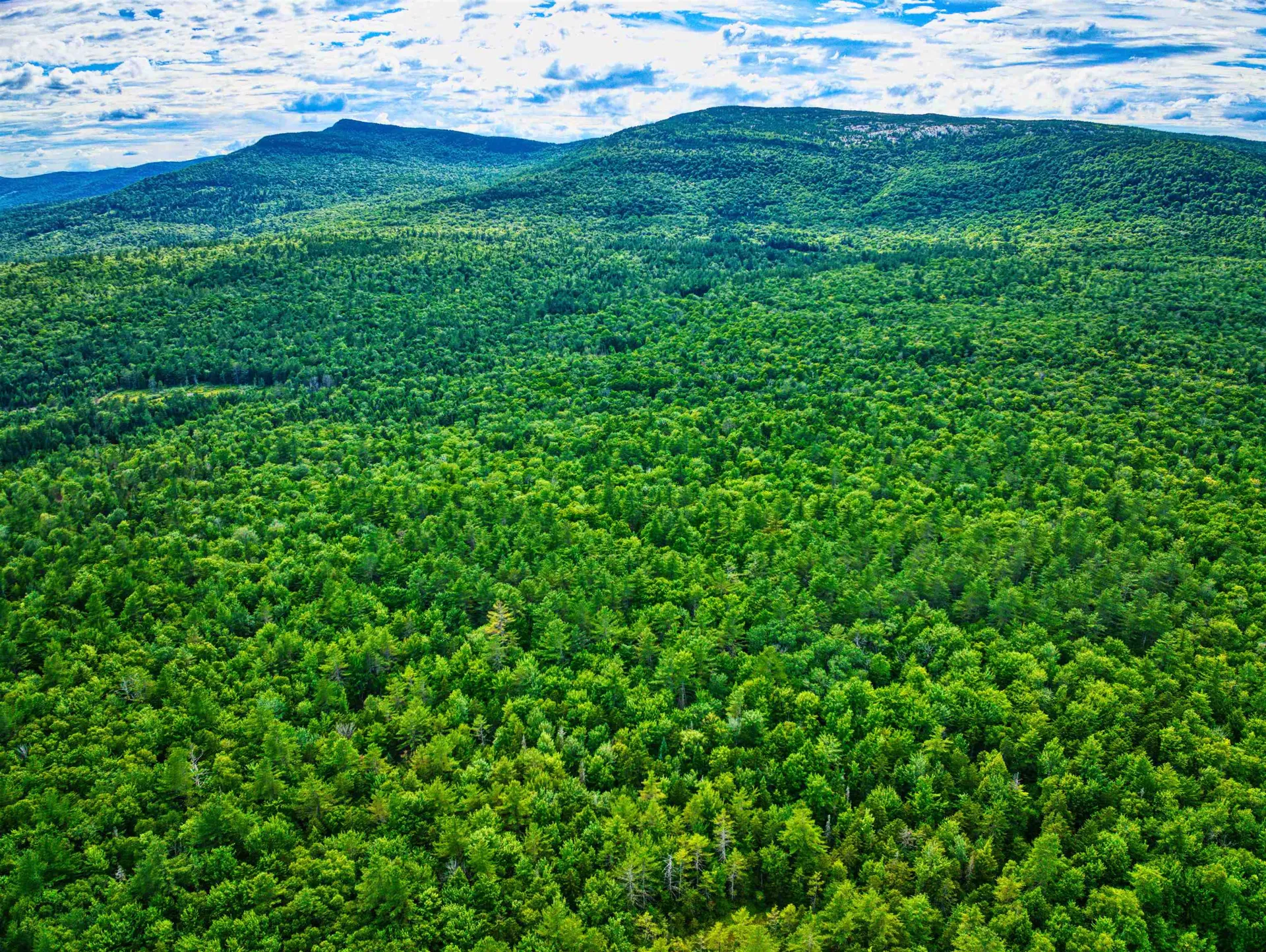 Hartshorn Road Grantham NH 03753