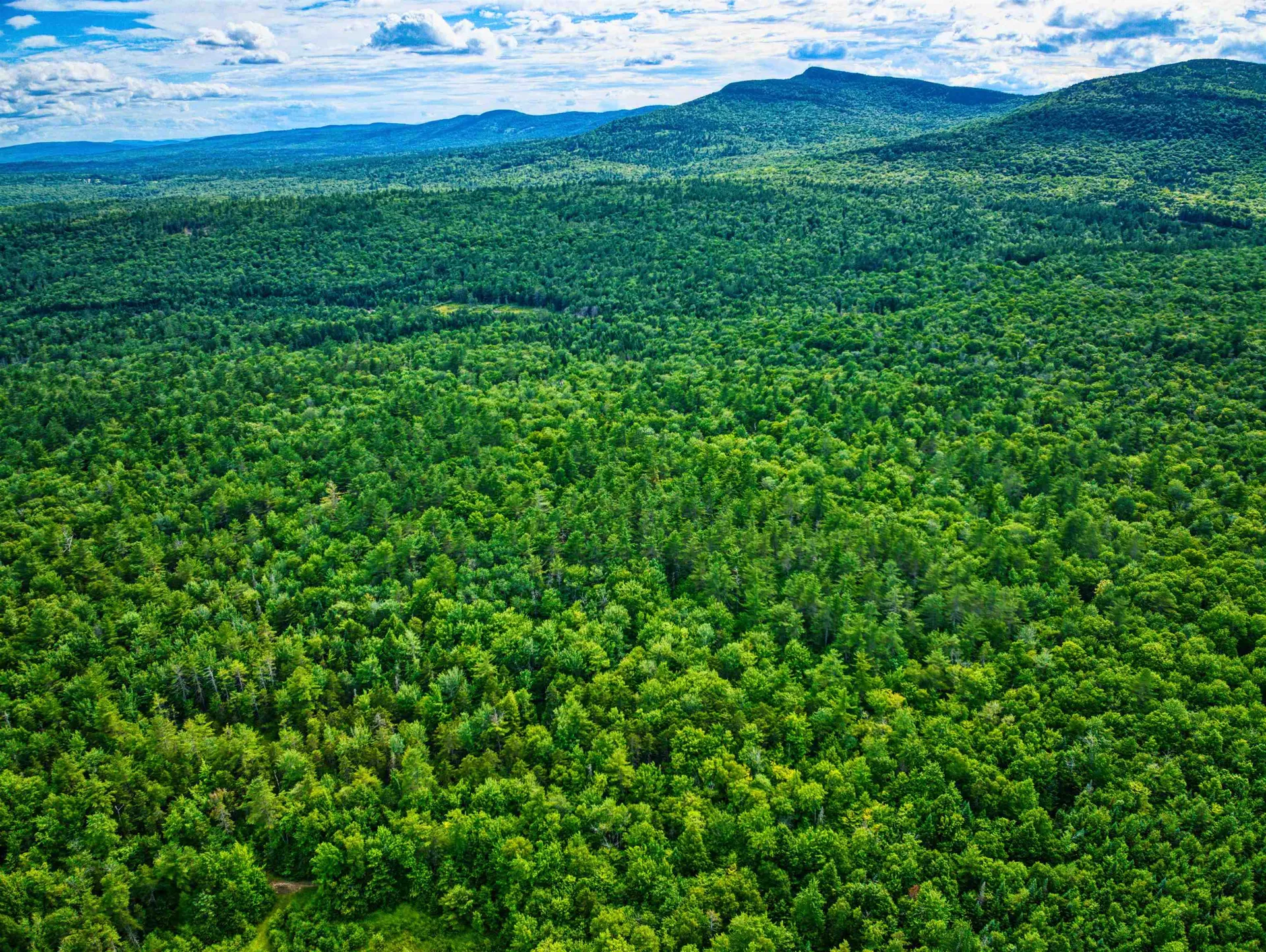 Hartshorn Road Grantham NH 03753