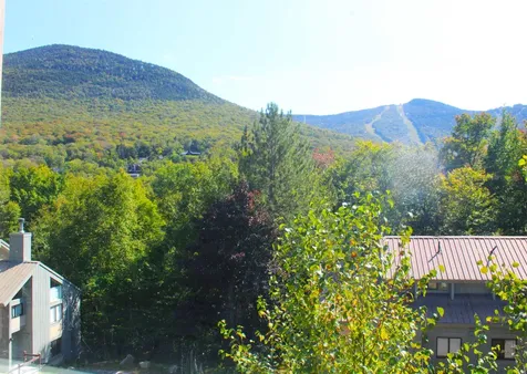 46 Clearbrook Road Lincoln NH 03251