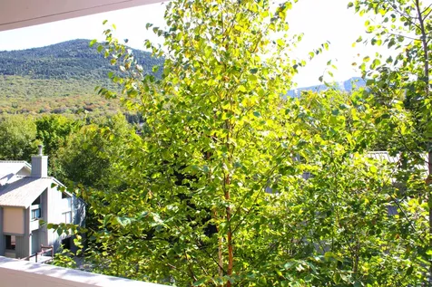 46 Clearbrook Road Lincoln NH 03251