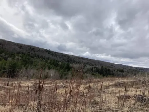 655 Kinsey Road Barton VT 05822