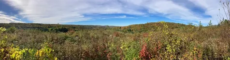 655 Kinsey Road Barton VT 05822