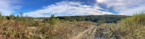 655 Kinsey Road Barton VT 05822