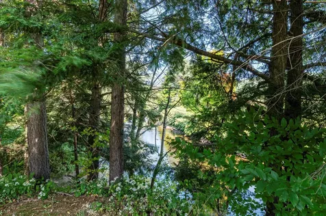 31 Fox Lane Ludlow VT 05149