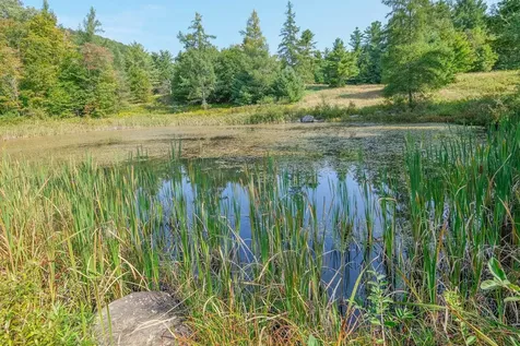 310 Hateful Hill Wallingford VT 05773