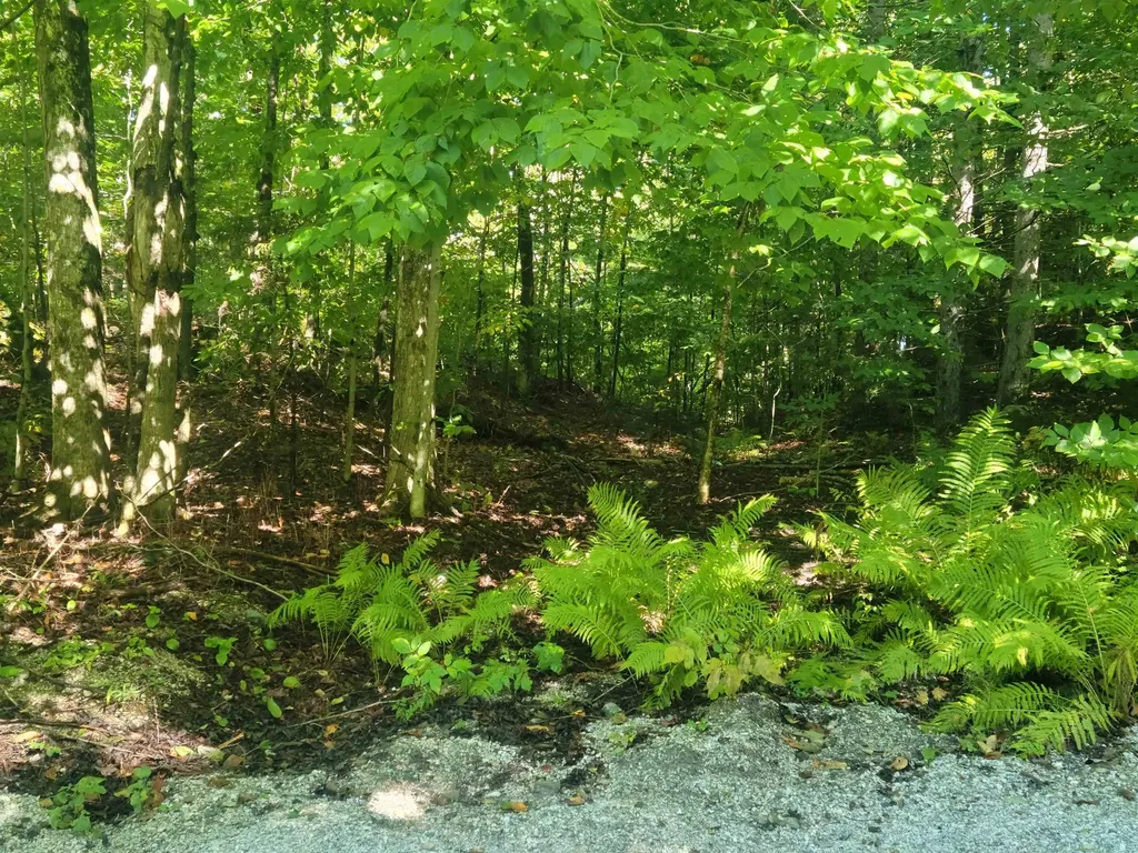 Lot 8 Barts Hill Road Killington VT 05751