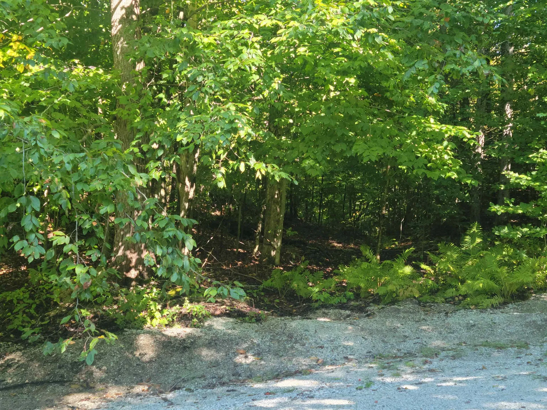 Lot 8 Barts Hill Road Killington VT 05751