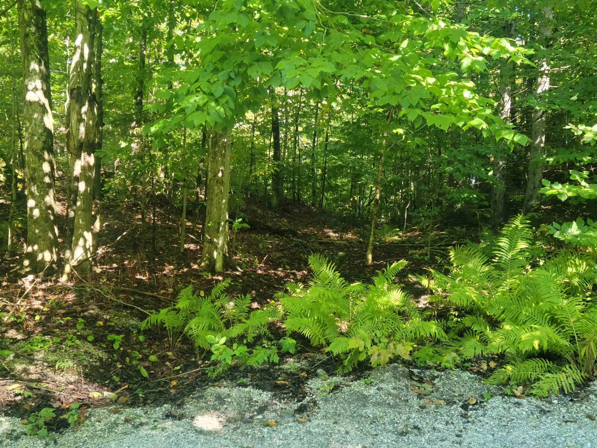 Lot 8 Barts Hill Road Killington VT 05751