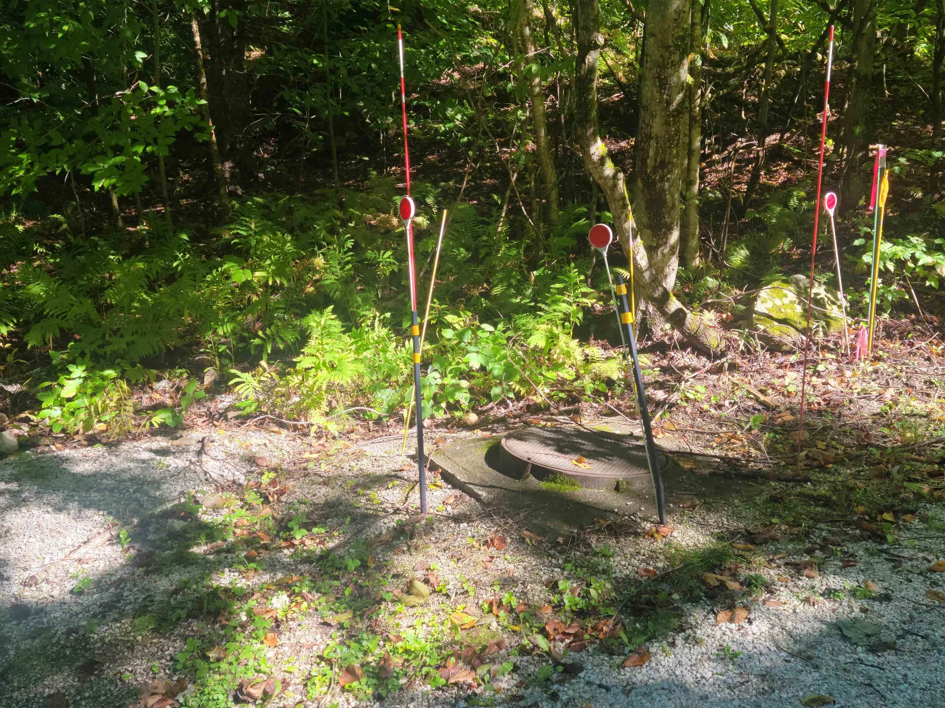 Lot 8 Barts Hill Road Killington VT 05751