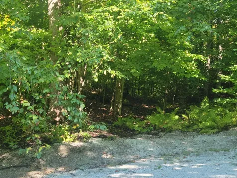 Lot 8 Barts Hill Road Killington VT 05751