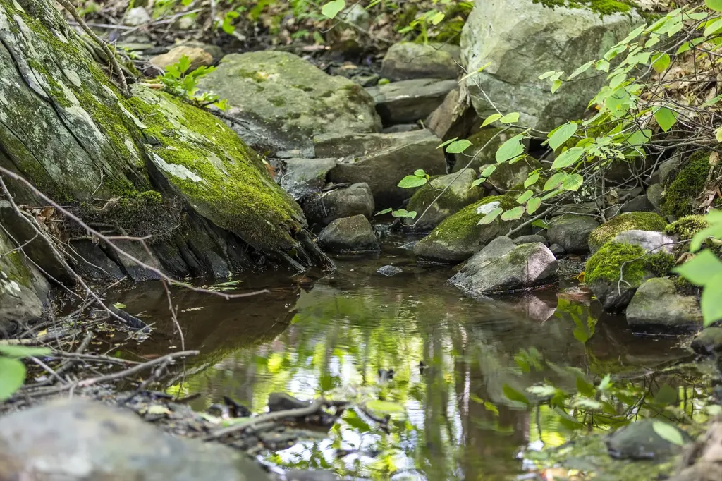 20 Deepwoods Circle Winhall VT 05340