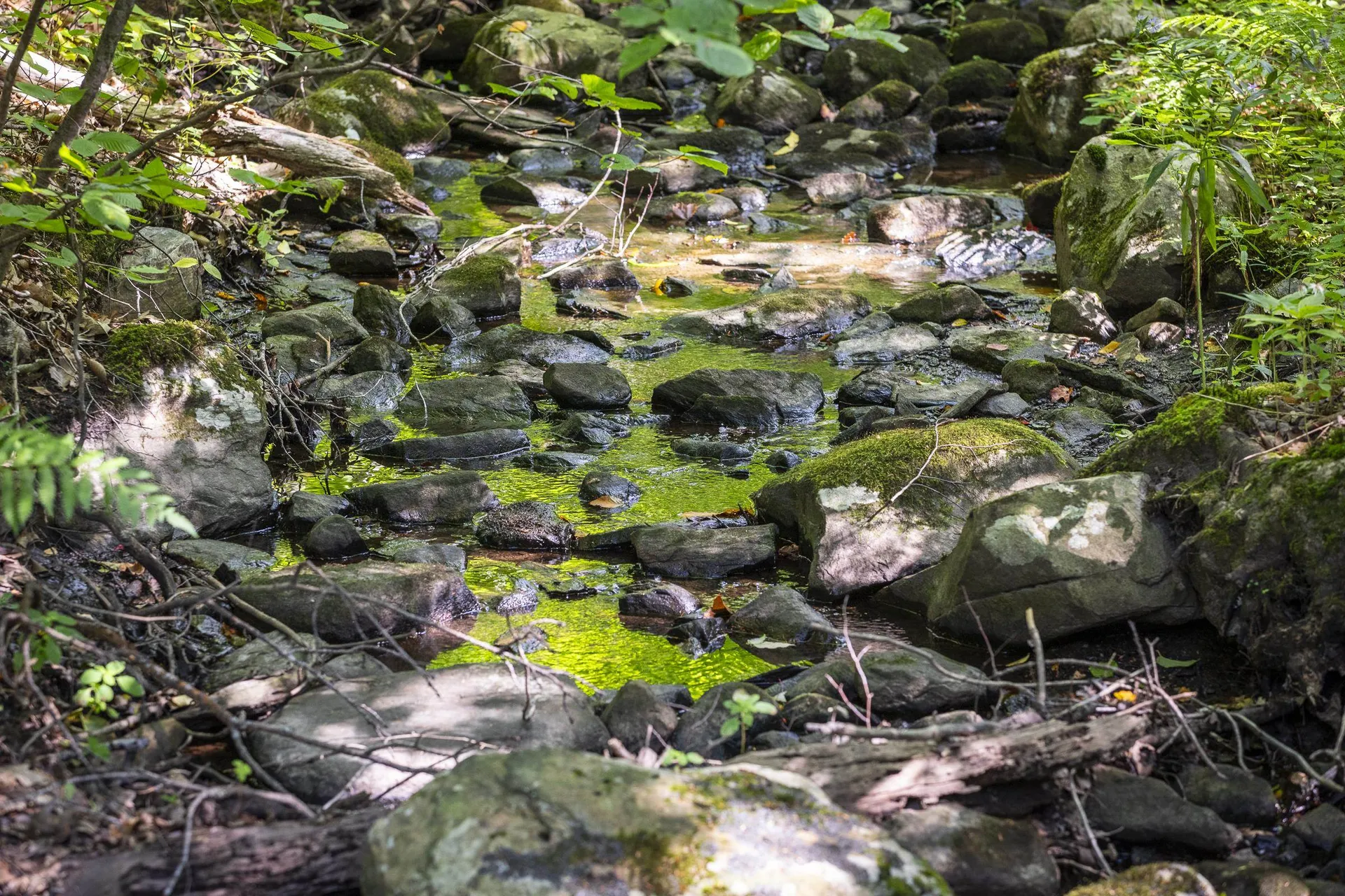 20 Deepwoods Circle Winhall VT 05340