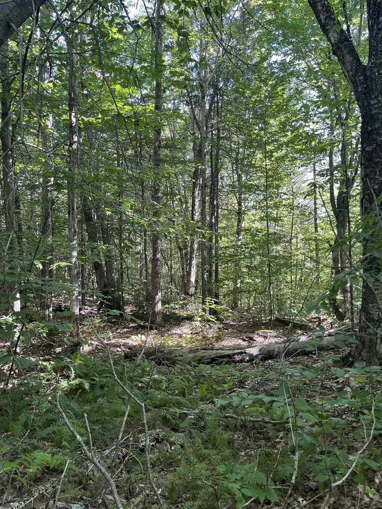 Faxon Hill Road Washington NH 03280