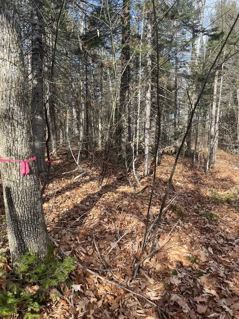 Faxon Hill Road Washington NH 03280