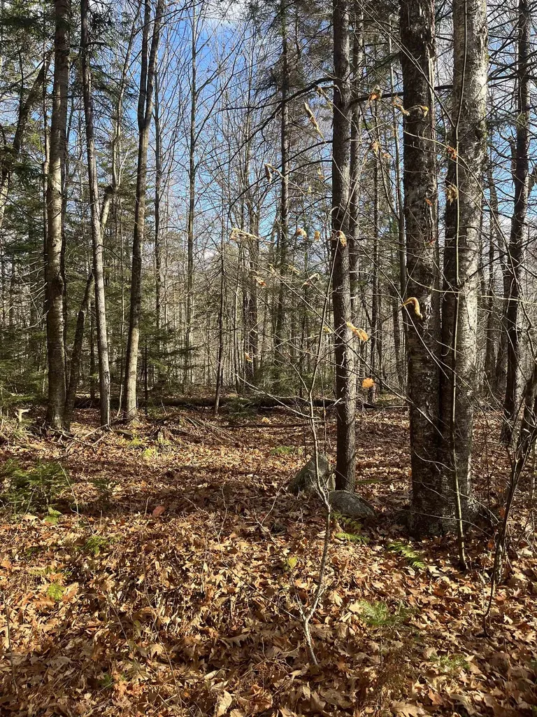 Faxon Hill Road Washington NH 03280