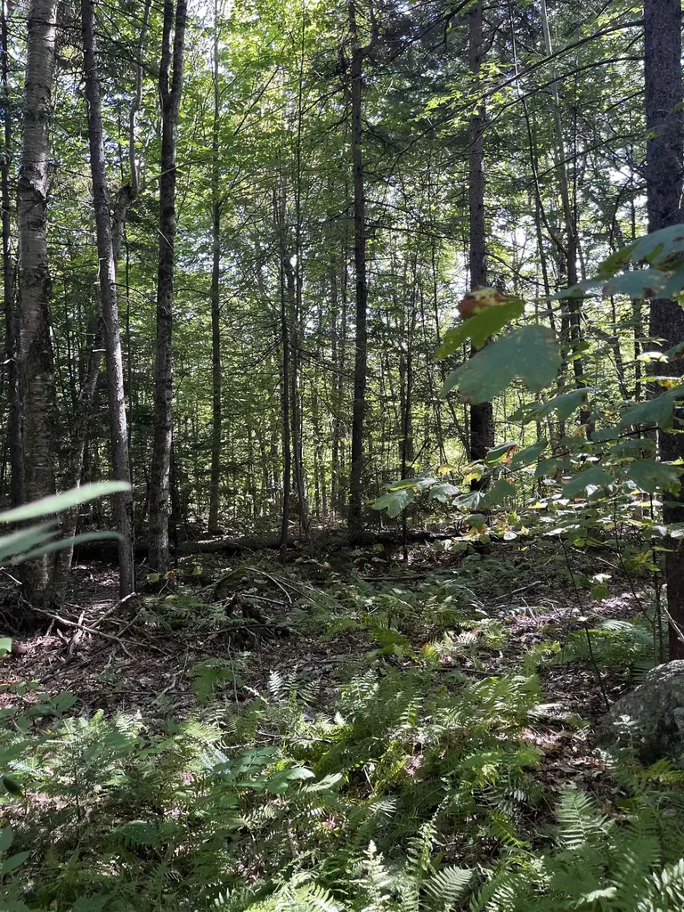 Faxon Hill Road Washington NH 03280