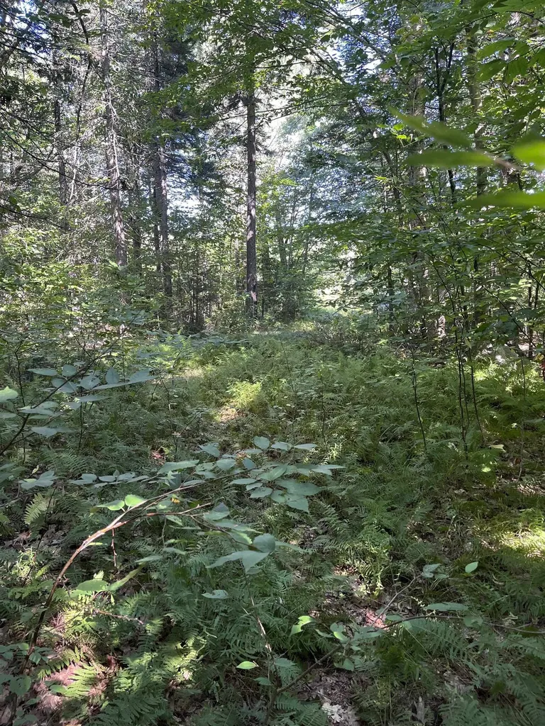 Faxon Hill Road Washington NH 03280