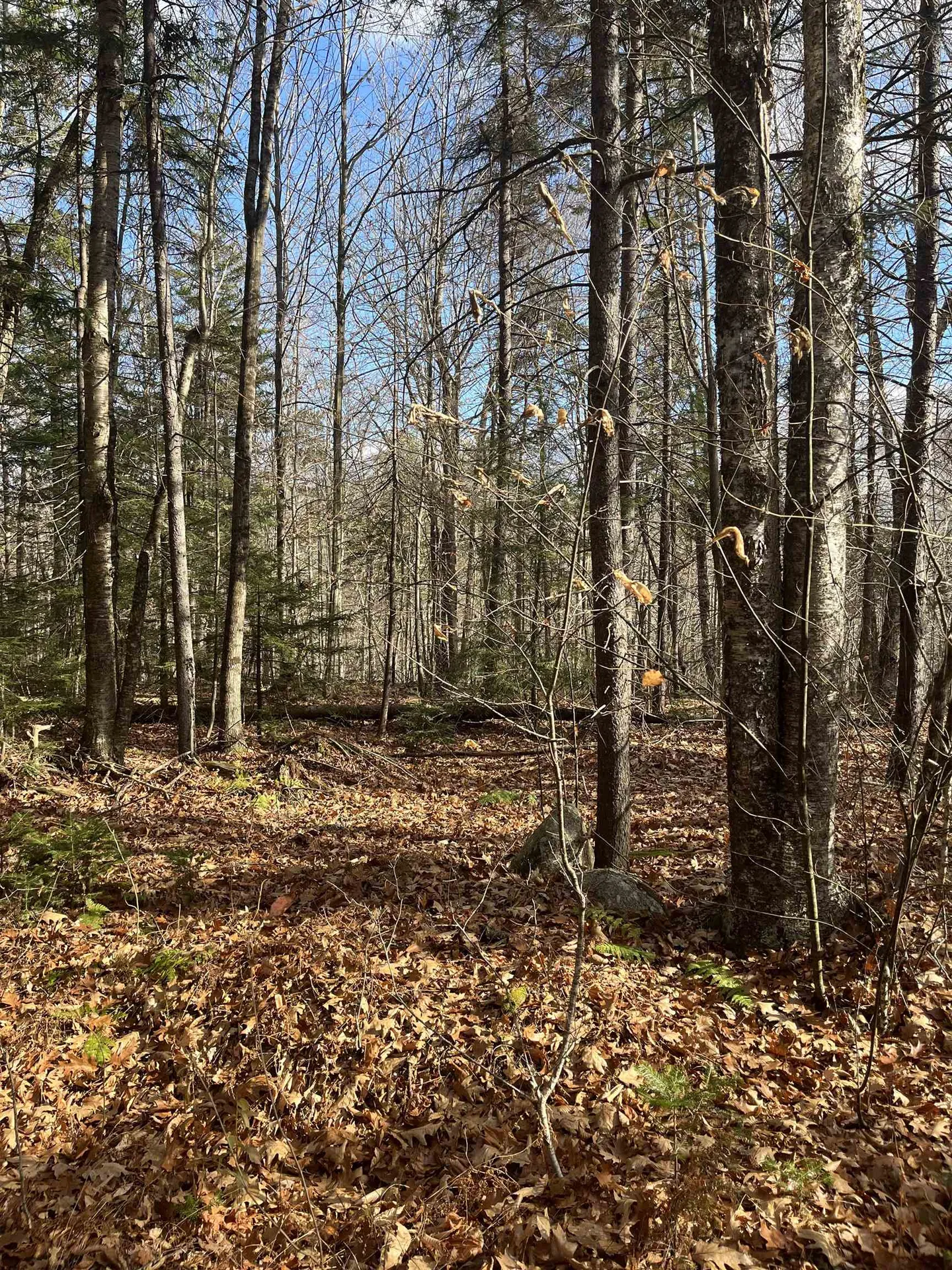 Faxon Hill Road Washington NH 03280