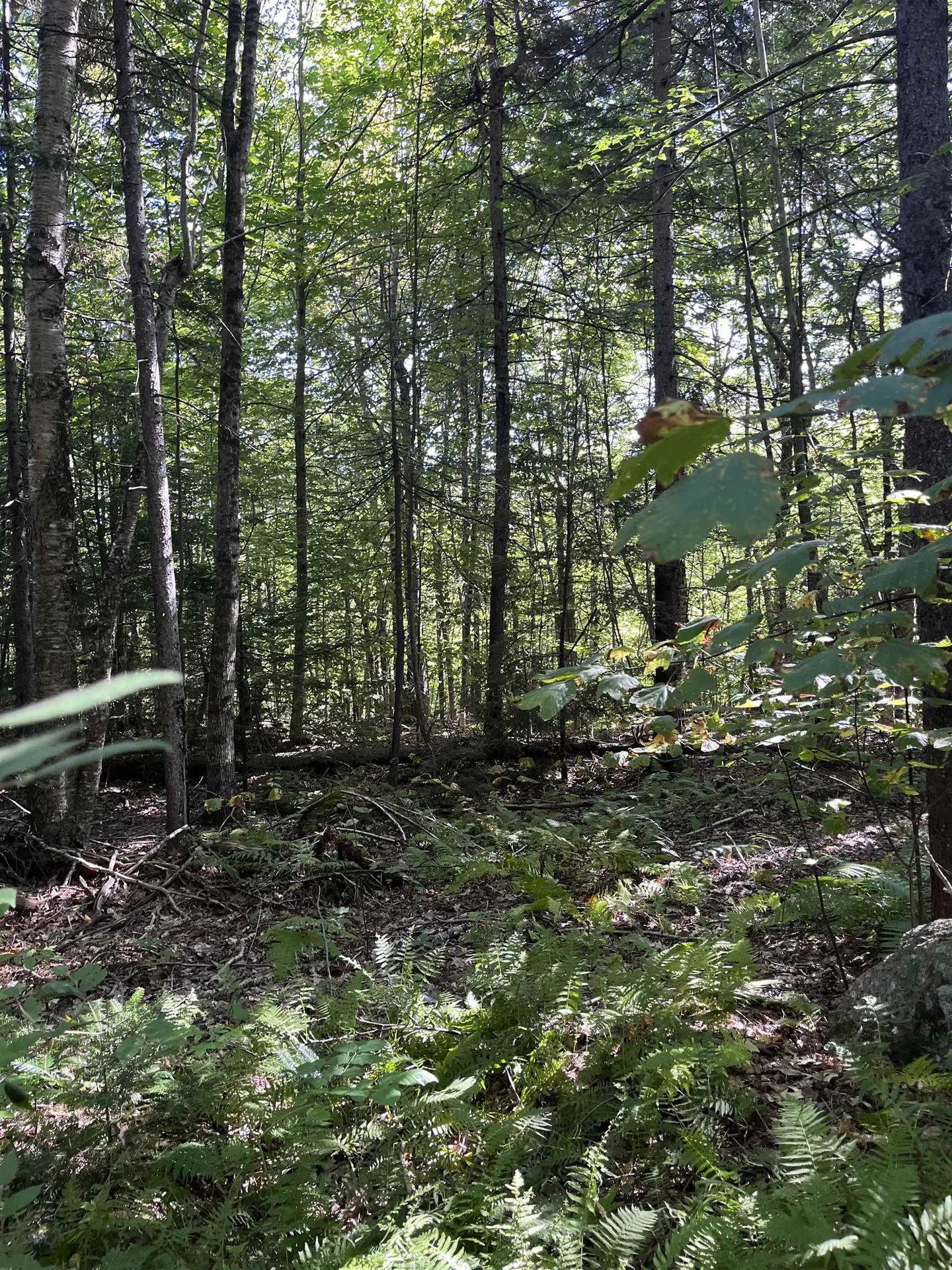 Faxon Hill Road Washington NH 03280