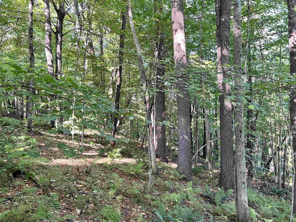 130 Vt Route 12 Hartland VT 05049