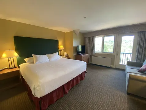 336/38qtr.4,89 Grand Summit Way Dover VT 05356