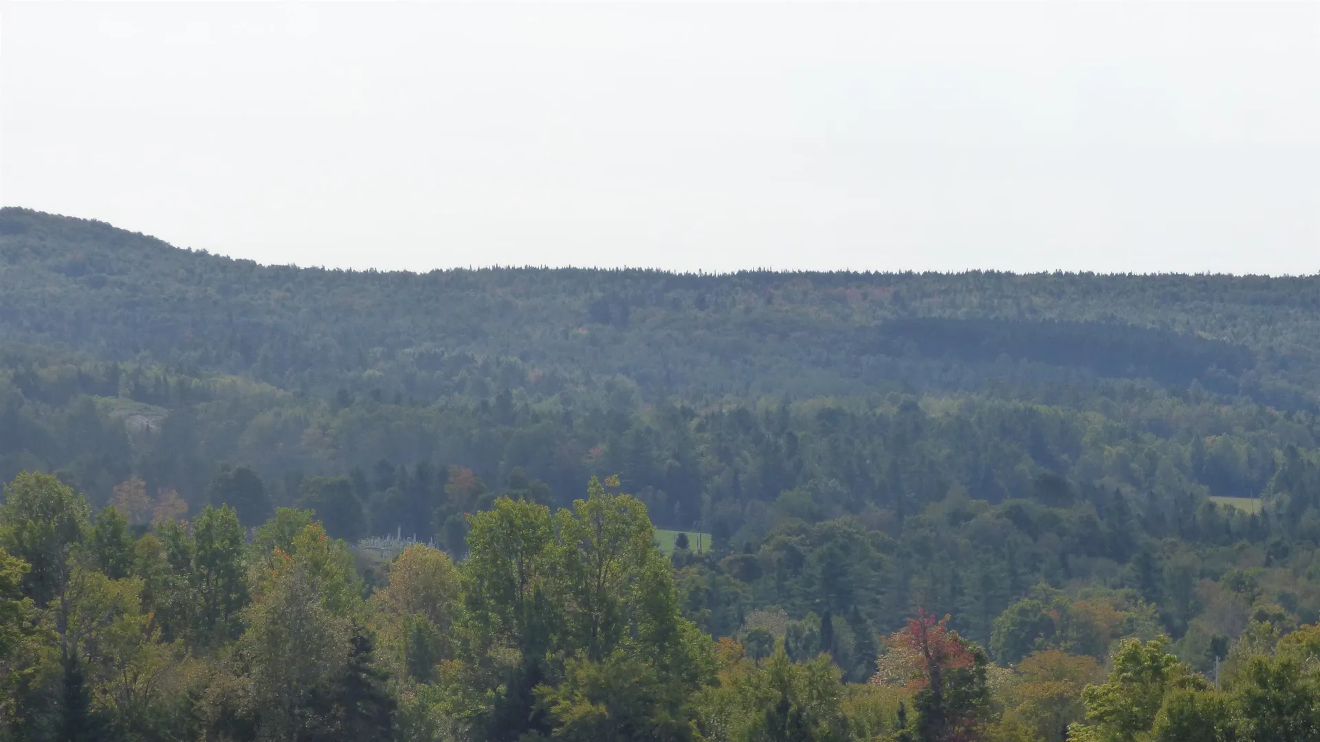 807 Still Hill Road Glover VT 05839