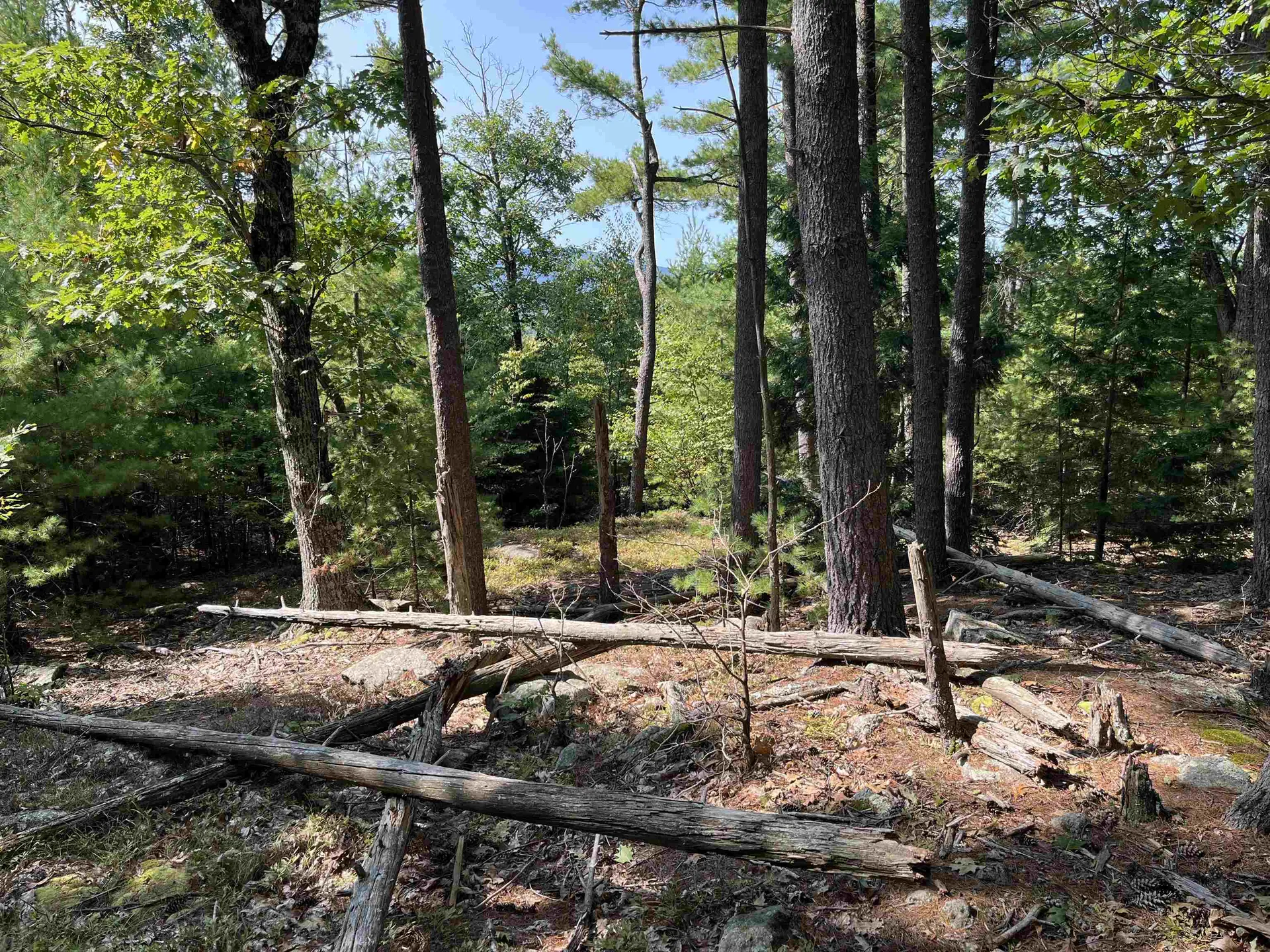 Old Stoddard Road Hancock NH 03449