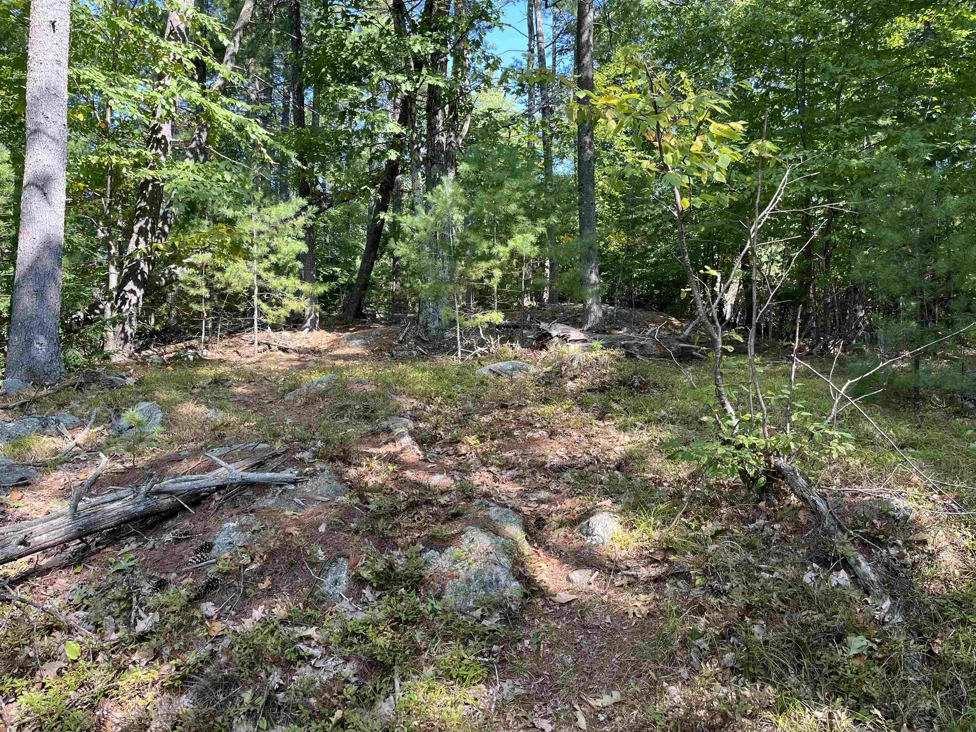 Old Stoddard Road Hancock NH 03449