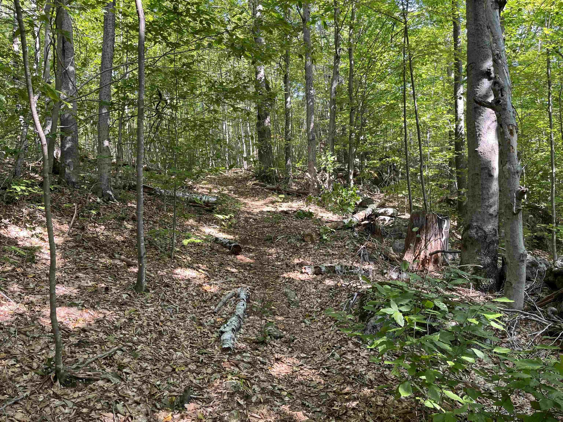 Old Stoddard Road Hancock NH 03449