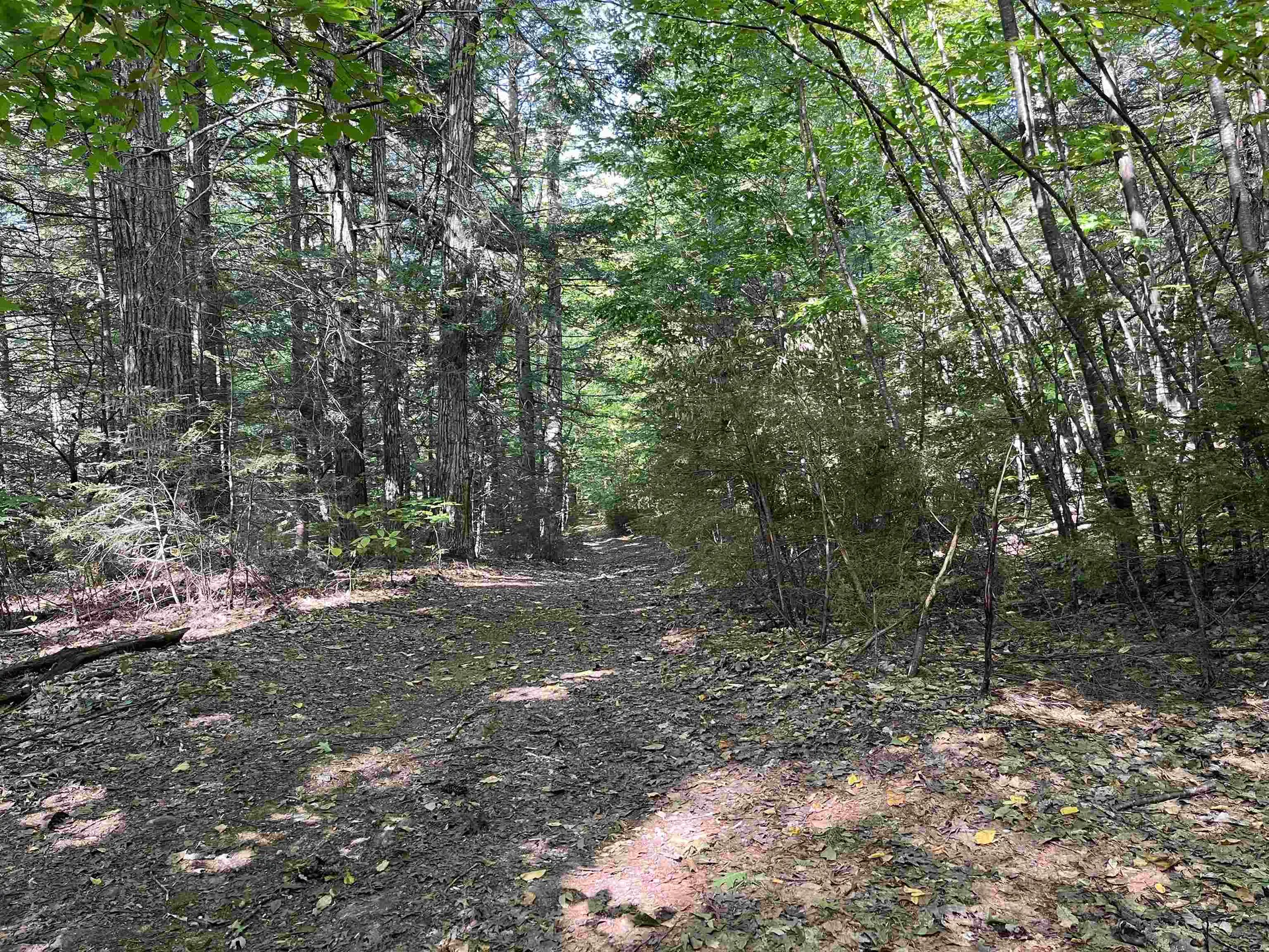 Old Stoddard Road Hancock NH 03449