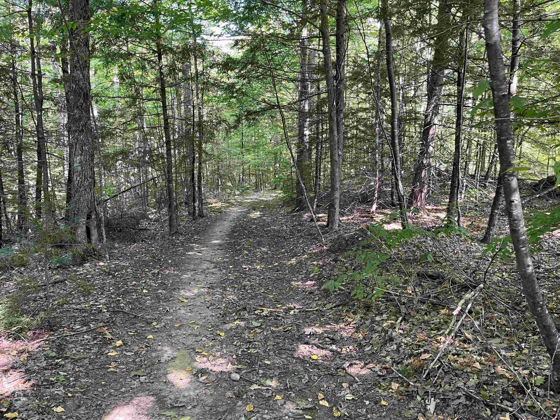 Old Stoddard Road Hancock NH 03449